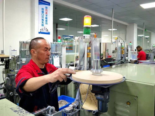 南充制造业新图景 南部县以“链式”路径擘画产业发展蓝图，工业自动化设备销售与售后服务并进